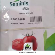 بذر گوجه رقم بریویو