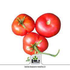 بذر گوجه فرنگی موسکوویچ